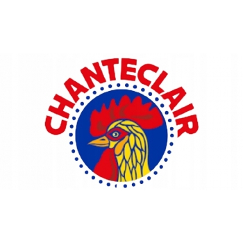 Chanteclair Multiuso Igienizzante Wielofunkcyjny Środek Dezynfekujący 625ml